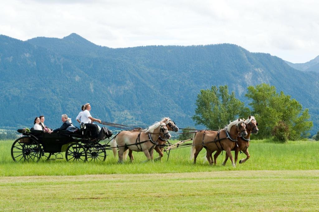 Alpenhof Murnau Murnau am Staffelsee Extérieur photo